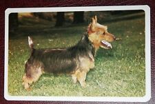 AUSTRALIAN TERRIER   Colour Photo Card   EE02M