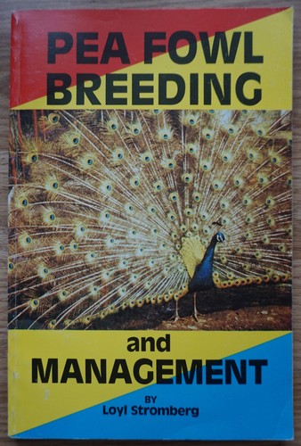 Pea fowl breeding and - fowl,