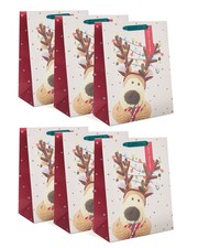 Multipack of 6 Large Gift Bags