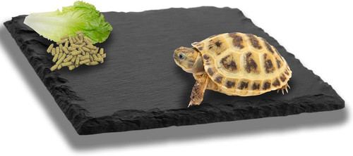Reptile basking slate platform - slate,
