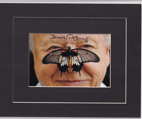 Sir david attenborough signed - sir,