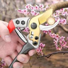 8-Inch Gardening Scissors