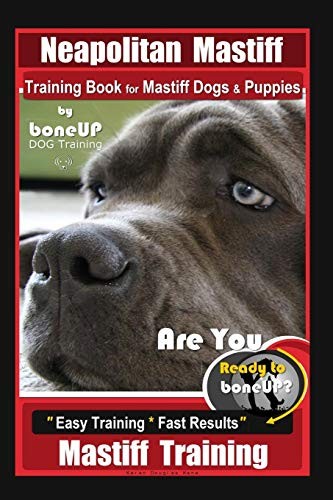 Neapolitan mastiff training - mastiff,
