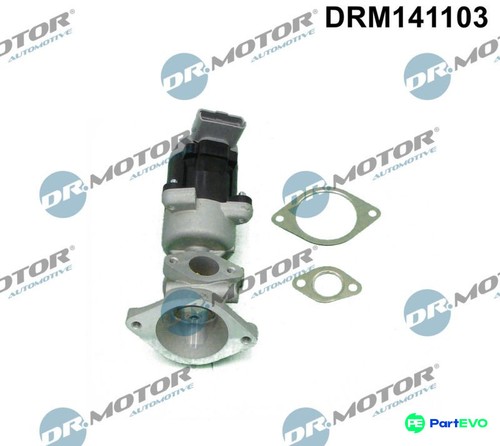 Motor automotive egr - dr.motor, valve