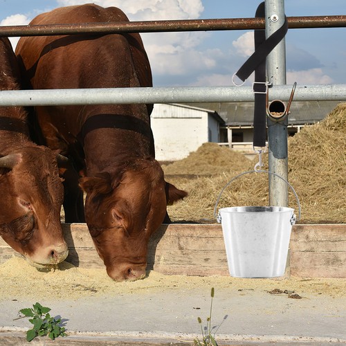 Pcs horse bucket straps - 4,