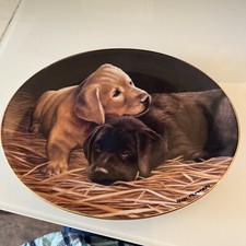 NIGEL HEMMING FRANKLIN MINT DOG OVAL LABRADOR PLATES 