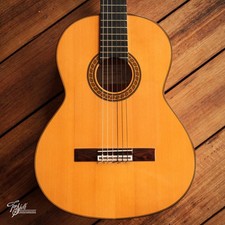 Amalio Burguet 2F Flamenco