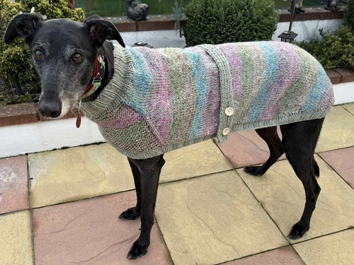 Hand knitted greyhound coat - hand,