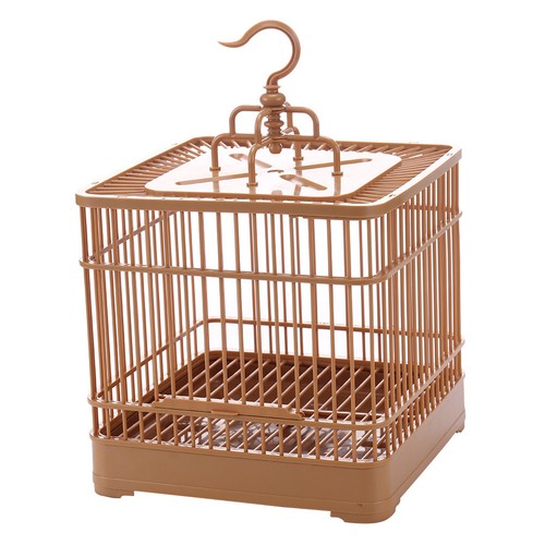 Set bird display - display, cage