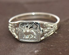 Sterling Silver Welsh Prince
