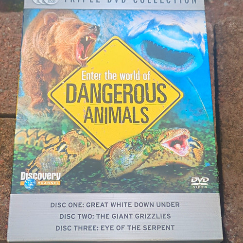 Discovery channel enter the - enter,