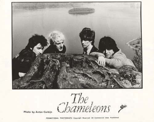 The chameleons 1980s - the,