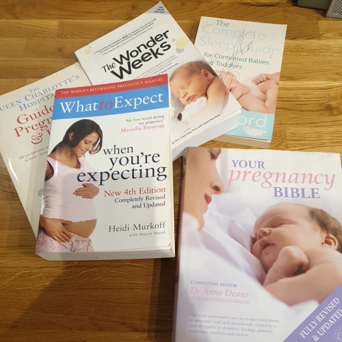 Pregnancy birth book bundle - pregnancy,