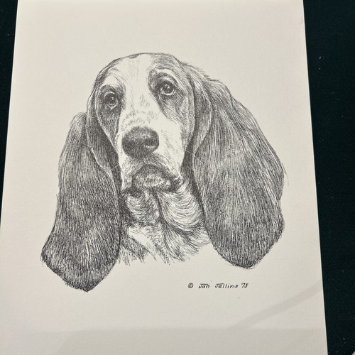 Basset hound vintage print - hound,