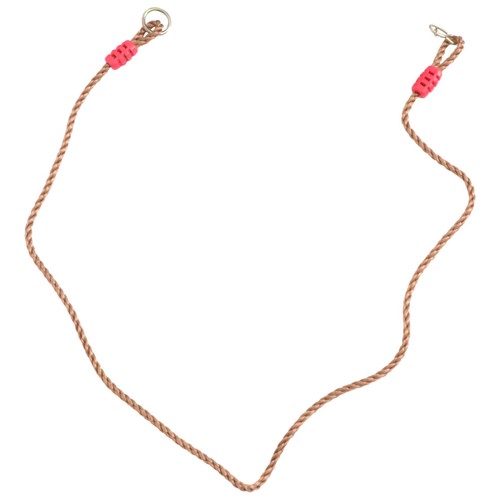 Rope swing tree - ,