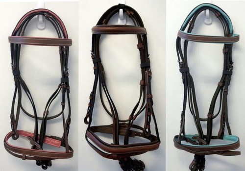 Horse pony accents brown - brown, teal