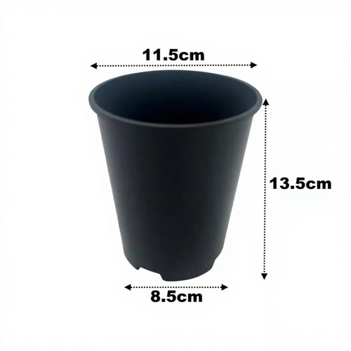Litre deep rose - litre,