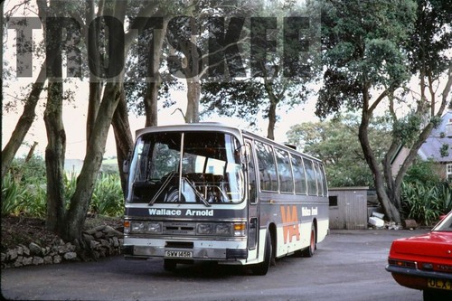 35mm slide wallace arnold - wallace,