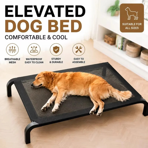 Elevated dog bed raised - dog,