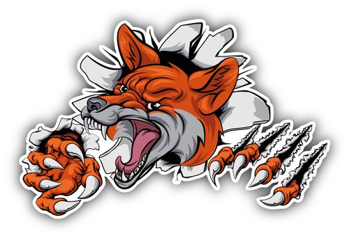 Angry fox head - mascot, car