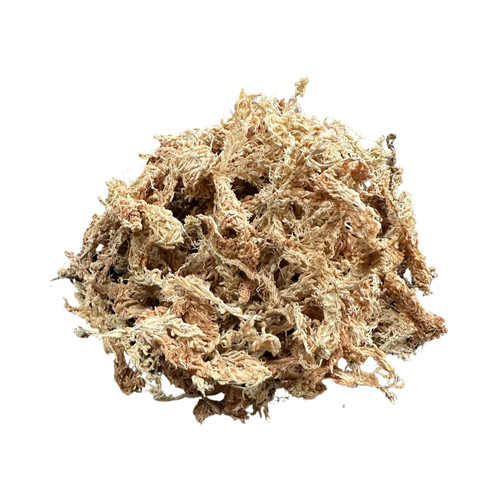 Premium new zealand - zealand, sphagnum
