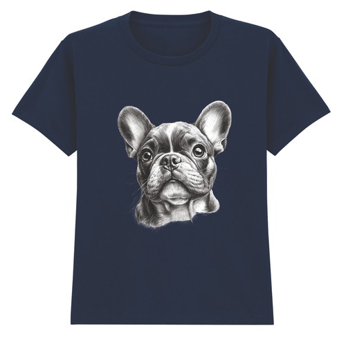 French bulldog dog animals - french,