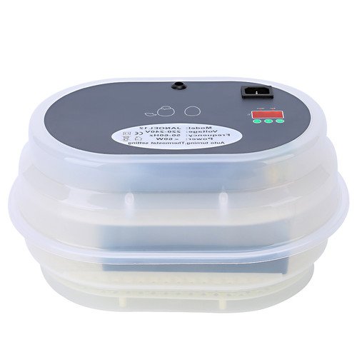 Automatic digital poultry - ］automatic,