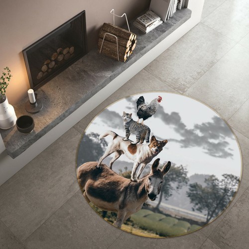 Donkey dog cat b118 animal - cat,