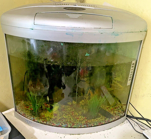 Ufo 350 fish tank - fish, set