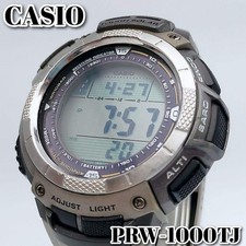 Operational Titanium Casio Pro