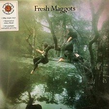 Fresh Maggots...Hatched by