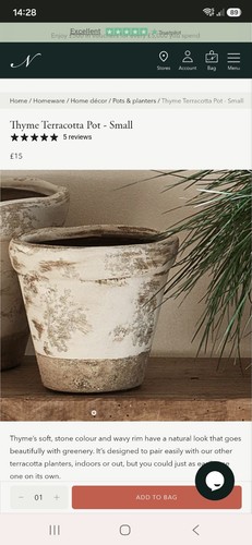 Thyme plant pot neptune - pot,