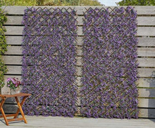Vivid violet garden trellis - vivid,