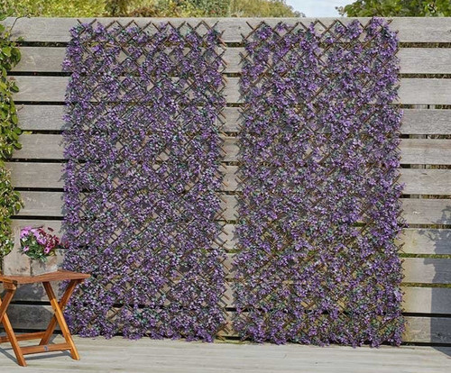 Vivid violet garden trellis - garden,