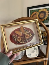 Vintage Taxidermy Butterfly