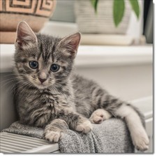 Doodlecards Happy Birthday