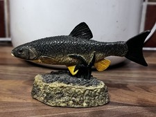 The Anglers Showcase