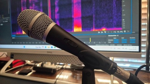 Beyerdynamic v35d dynamic - tg, s