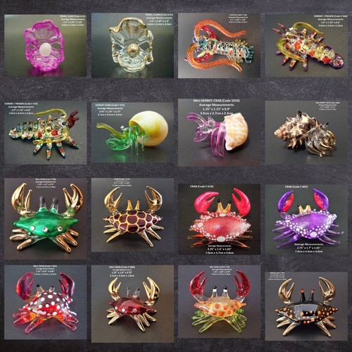Beautiful glass crab hermit - crab,