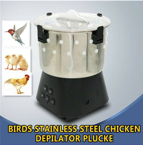 Poultry plucker birds - poultry,