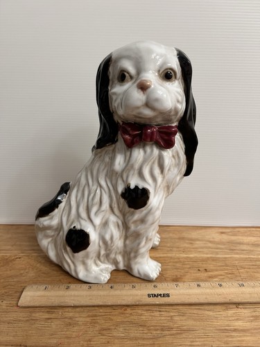 Cavalier king charles - charles, spaniel