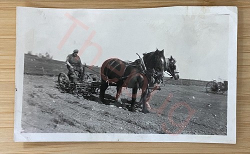 Vintage photo horse drawn - vintage,