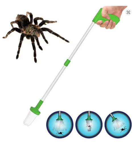 Spider catcher pest trap - spider,