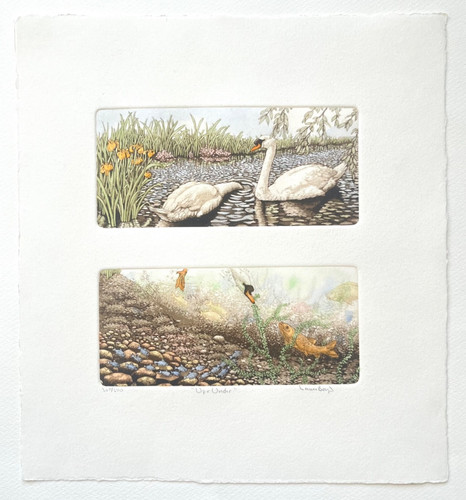 Laura boyd limited - boyd,