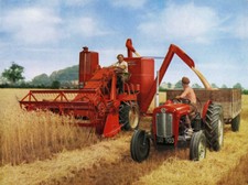 Vintage Massey Ferguson