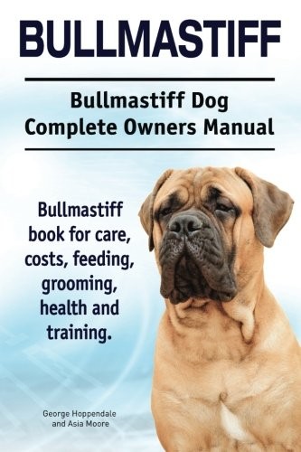 Bullmastiff - bullmastiff.,