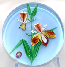 Beautiful SAINT LOUIS Blooming ORCHIDS Art Glass PAPERWEIGHT 1994