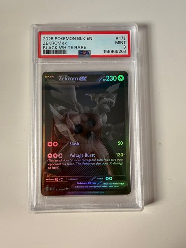 Pokemon black bolt - pokemon, zekrom