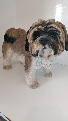 The leonardo collection - collection, (dog