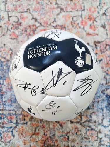 Official 2015 tottenham - official, 2015/16